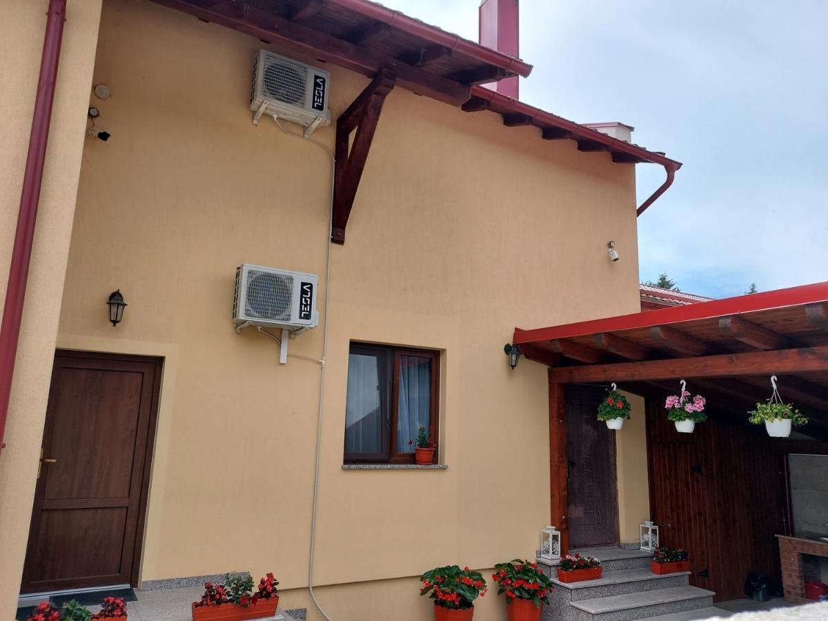 Hotel Casa Montis Borşa Pokoj fotografie